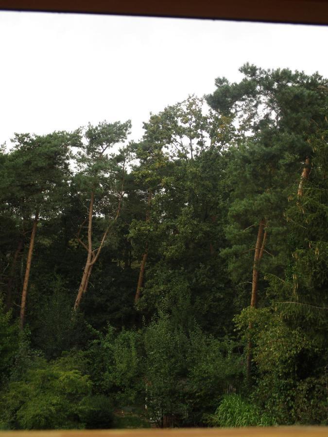 De Loteling Zoersel Dış mekan fotoğraf